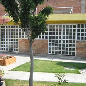 Bugambilias Heroica Puebla de Zaragoza